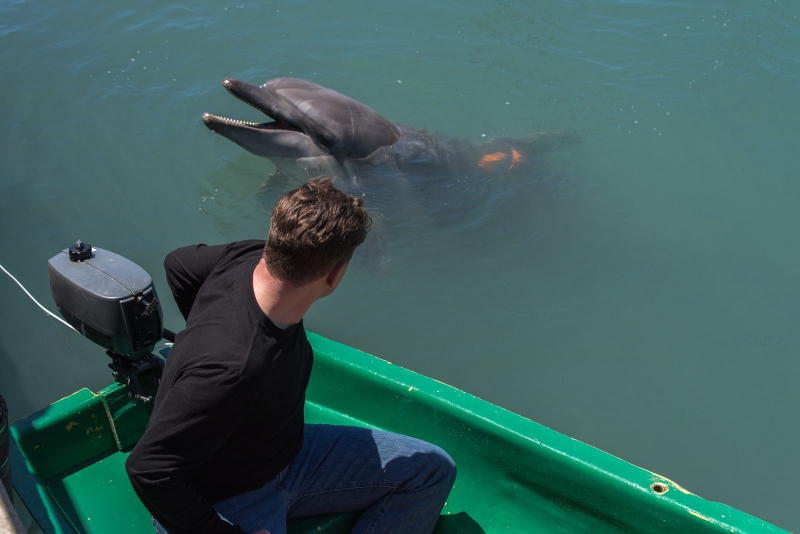 Сергей Жарков вернется к &laquo;Дельфину&raquo; на черноморское побережье