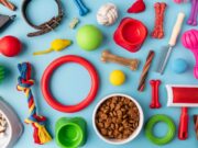 Как выбирать товары для животных в интернет зоомагазине?