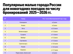 Новогодние каникулы без мегаполисов: число бронирований в малых городах выросло на 70%